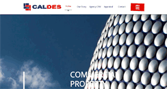 Desktop Screenshot of caldes.com